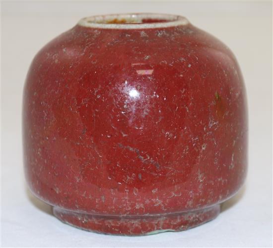 A Chinese sang-de-boeuf glaze water pot, 18th/19th century, height 7.5cm, faults